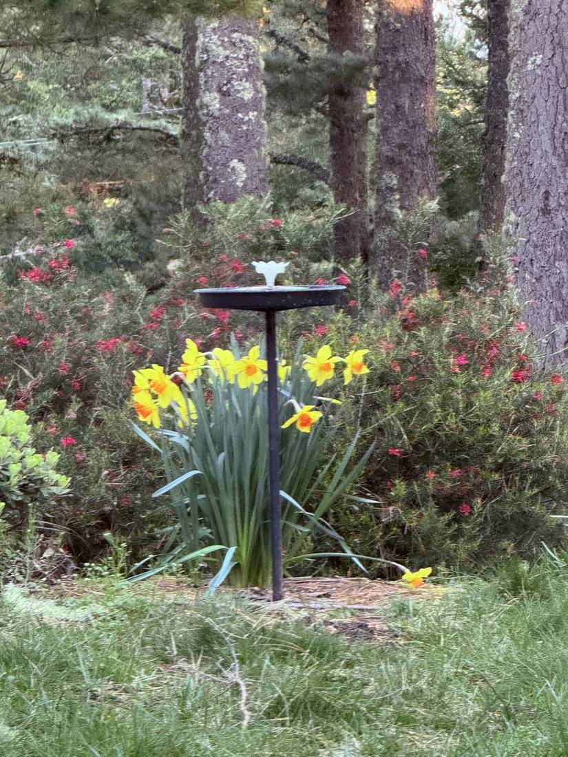 Signature Scents fragrance party