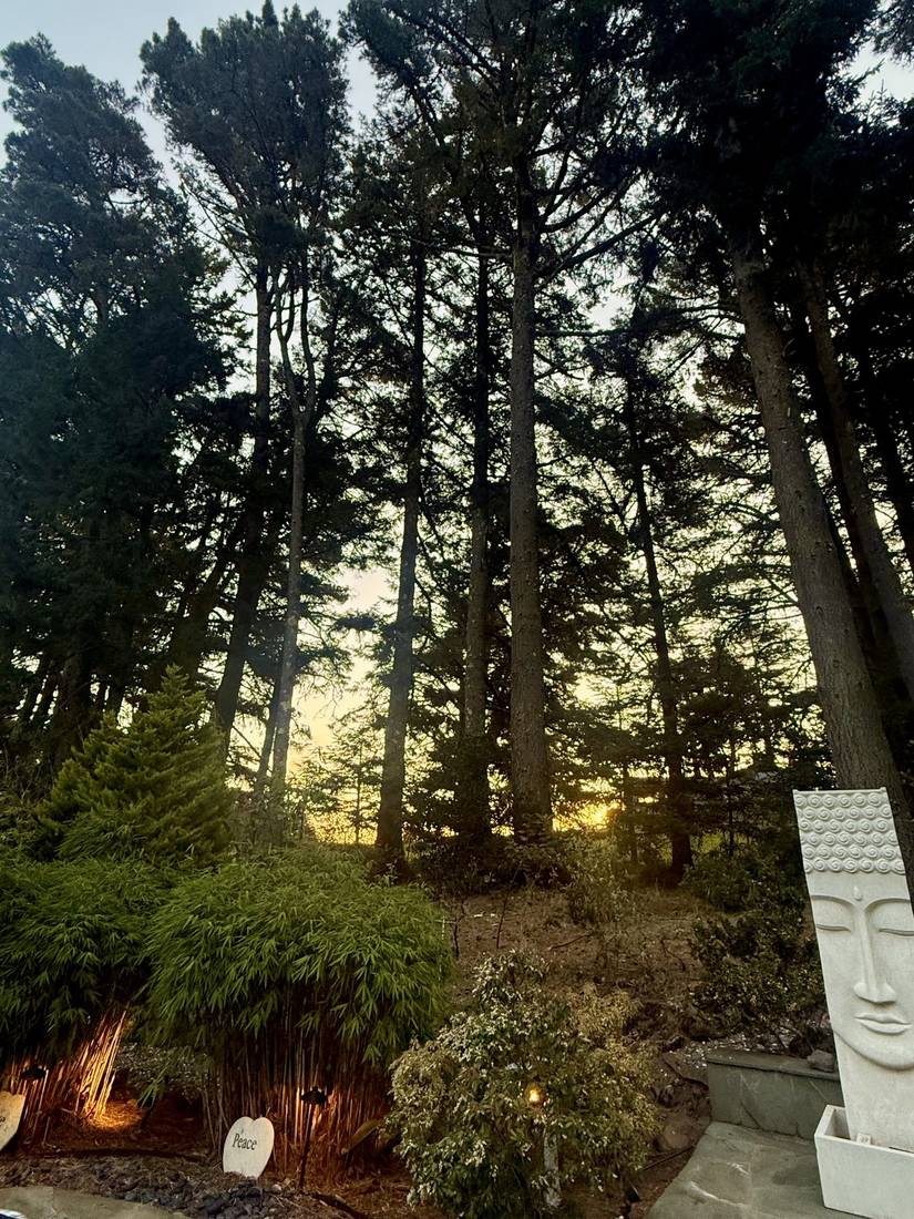 Silent Disco Moonlight Hike